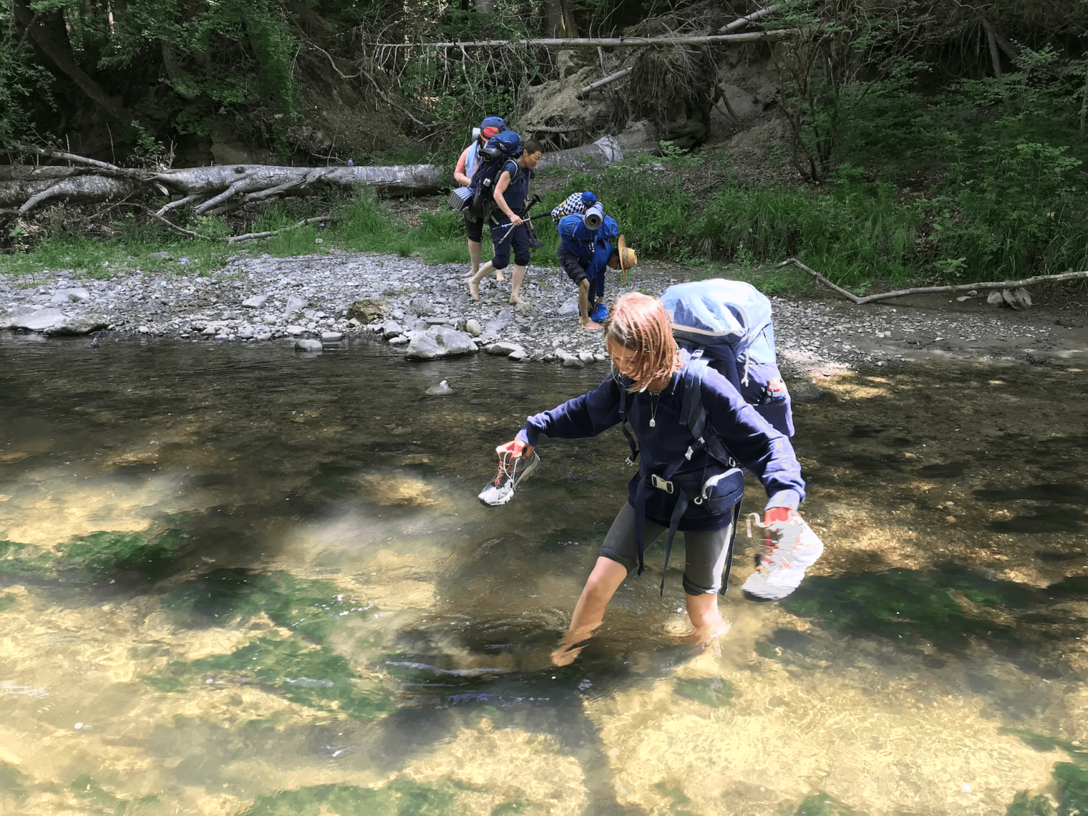 Feuille racine mai 2022 18