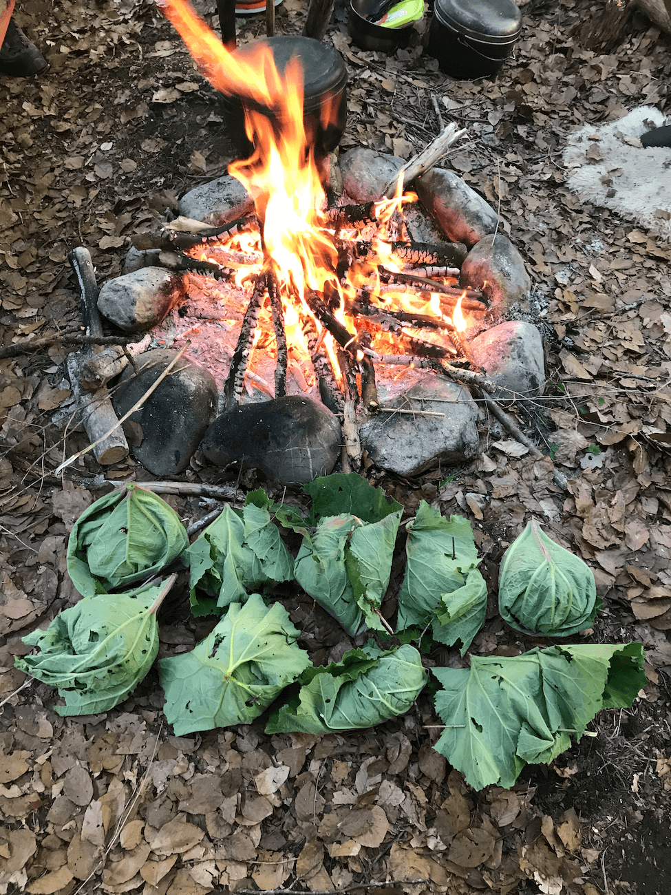 Recette de crackers à l’avoine et aux graines (véganes)