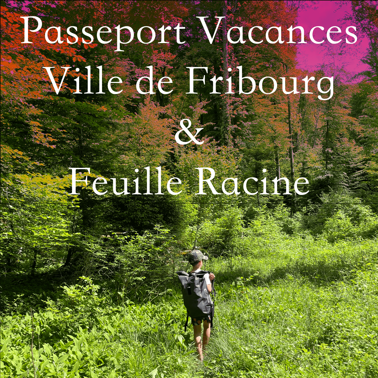 Passeport Vacances Ville Fribourg Feuille Racine