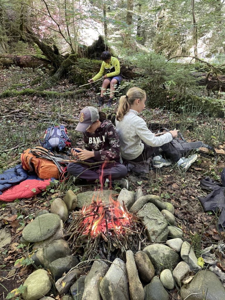 Feuille racine feu enfant sortie fribourg nature