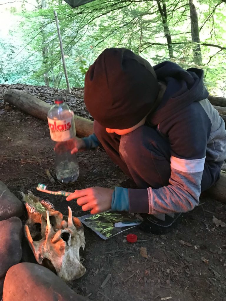 Animaux camp jeunes fribourg