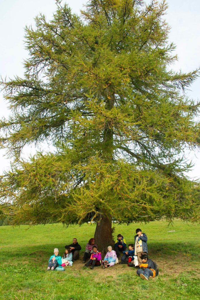 Camp enfants epicea ©photos joel harder