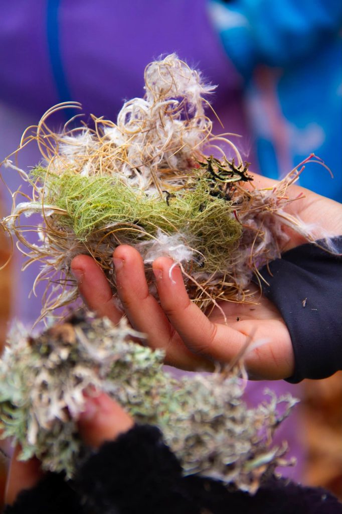 Camp enfants nid 1 ©photos joel harder