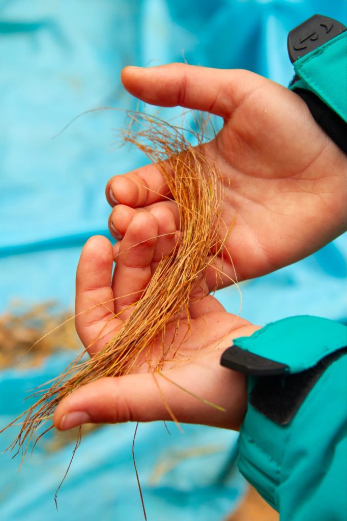 Camp enfants nid 2 ©photos joel harder