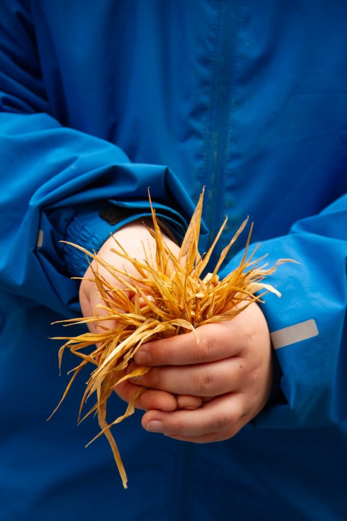 Camp enfants nid 3 ©photos joel harder