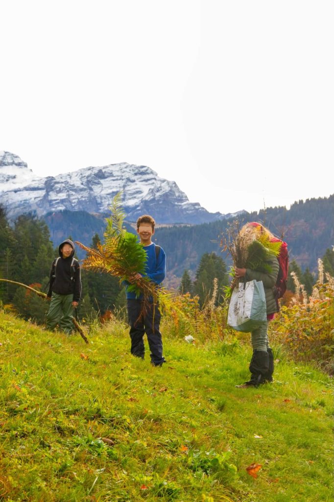 Camp enfants recolte ©photos joel harder