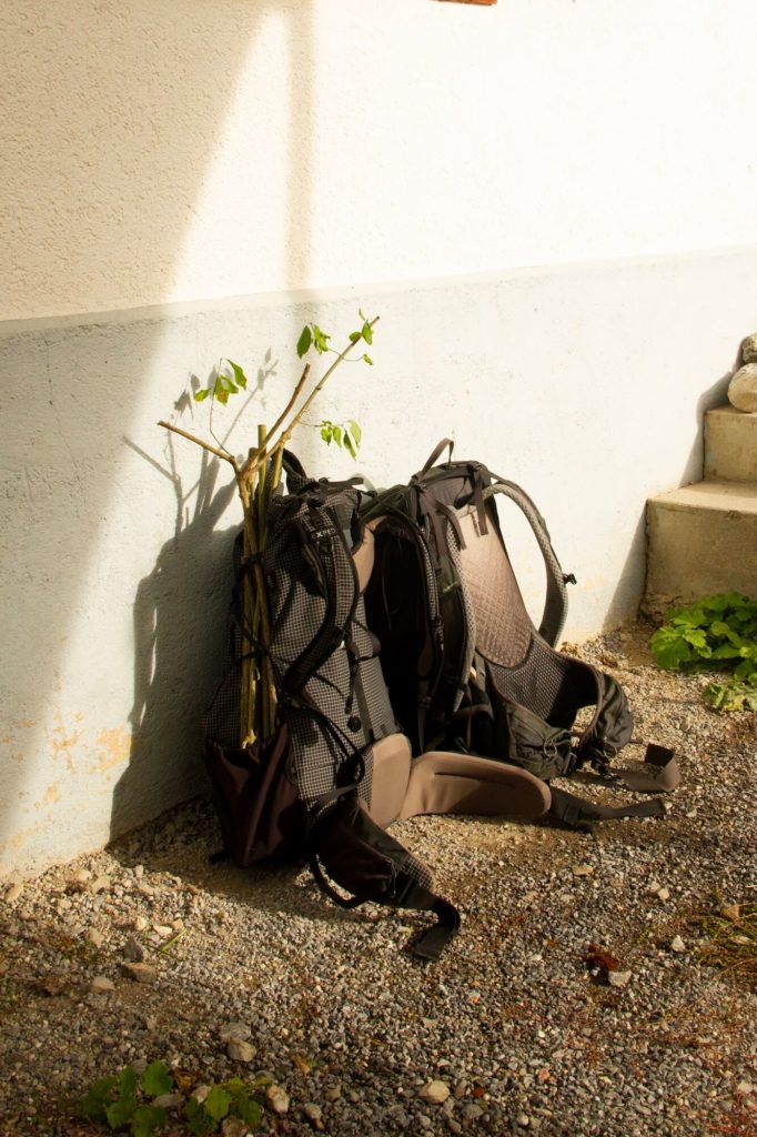 Camp enfants sac a dos ©photos joel harder