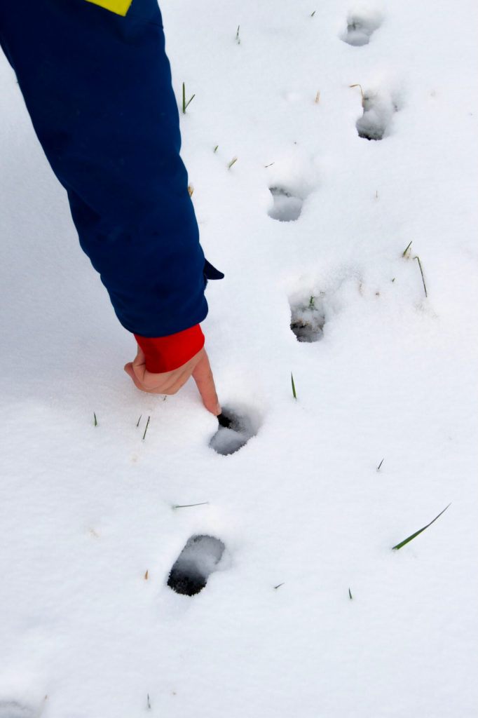 Camp enfants tracs neige ©photos joel harder
