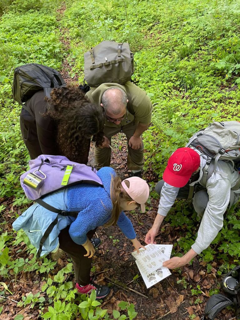 8 shields camp feuille racine empreintes