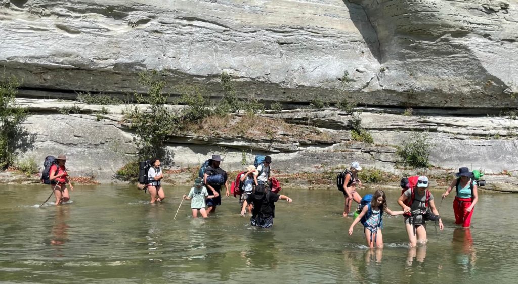 Feuille racine sortie famille nature falaise traversee riviere