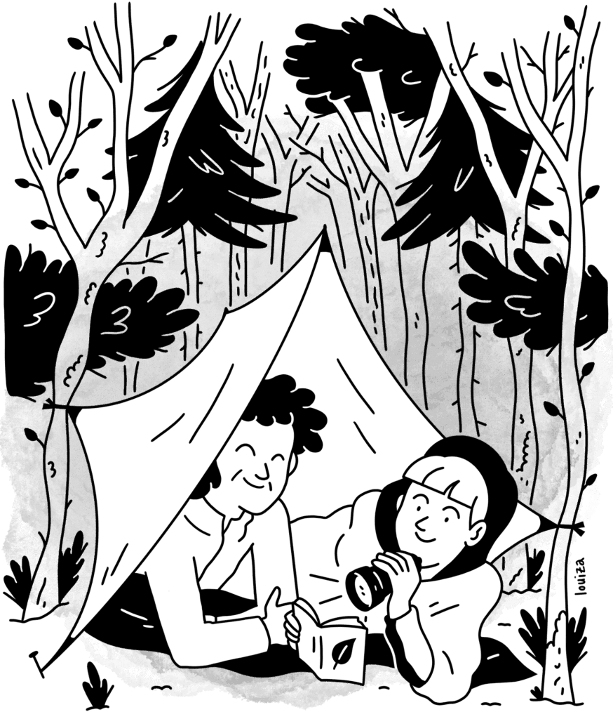 2026 sans logo feuille racine louiza