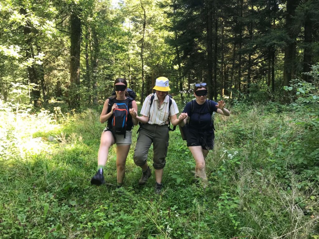 Aveugle trio feuille racine