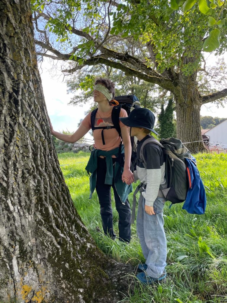 Binomes aveugle arbre feuille racine