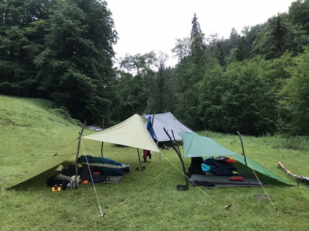 Camp nid groupe feuille racine