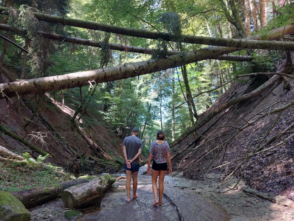 Cascade feuille racine