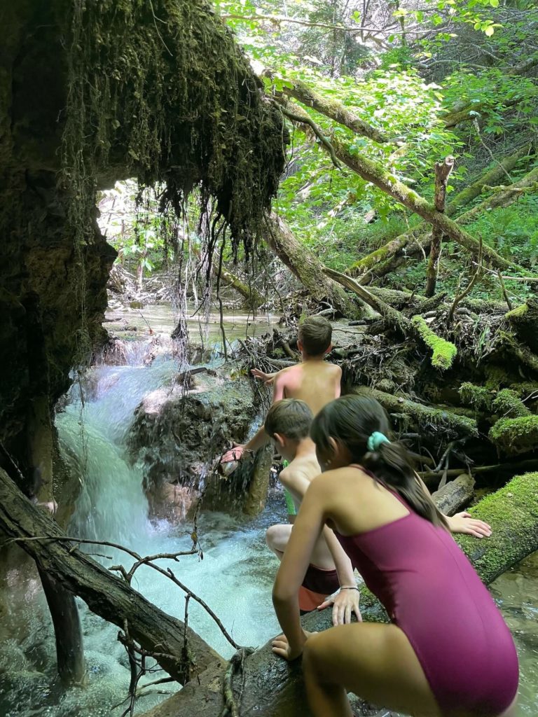 Cascade feuille racine