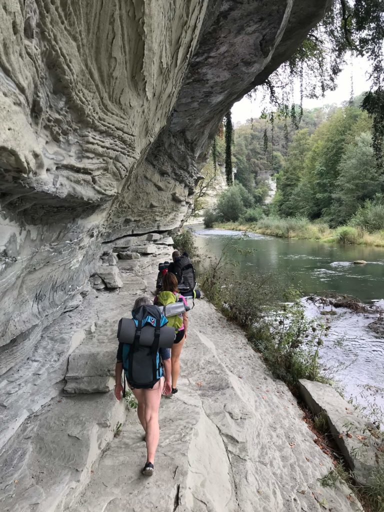 Falaise feuille racine