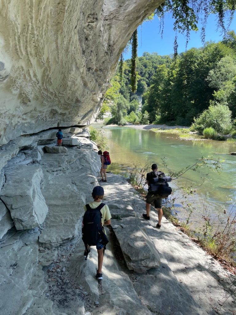 Falaise portrait feuille racine