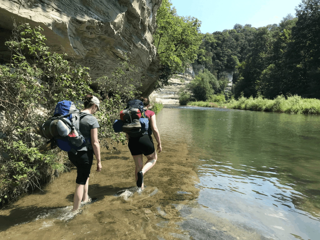 Riviere feuille racine