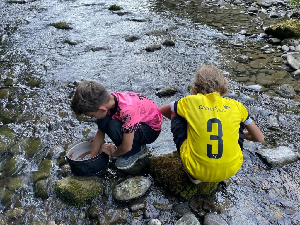 Vaisselle feuille racine