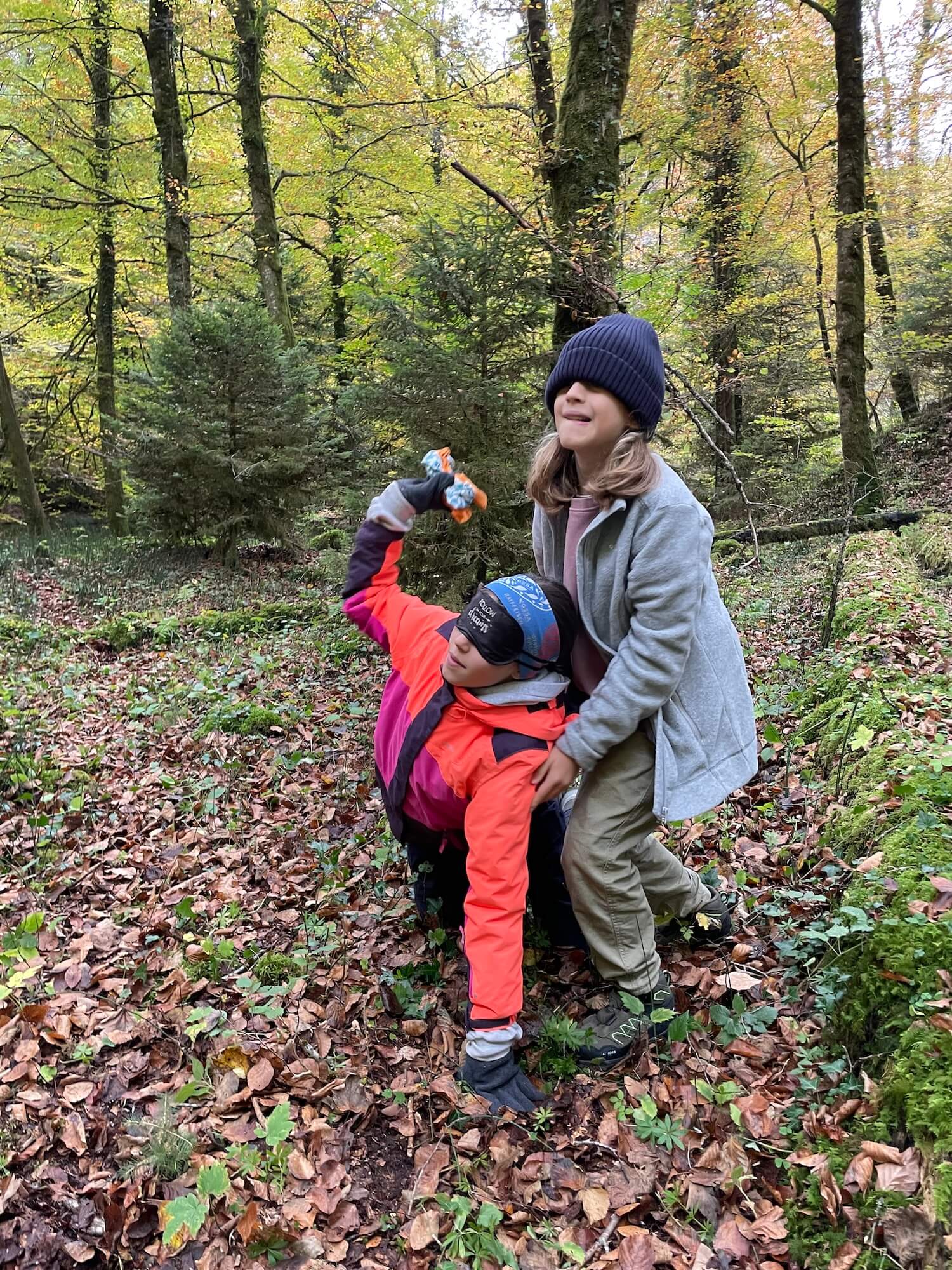 Est-ce que c&rsquo;était vraiment de l&rsquo;ail des ours?