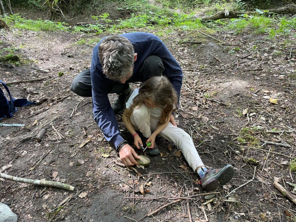 Feuille racine nature cycle parents enfants